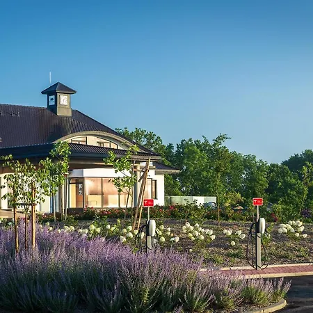 Modry Golf تشوسزشنو